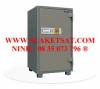 Bumil safe DS110E
